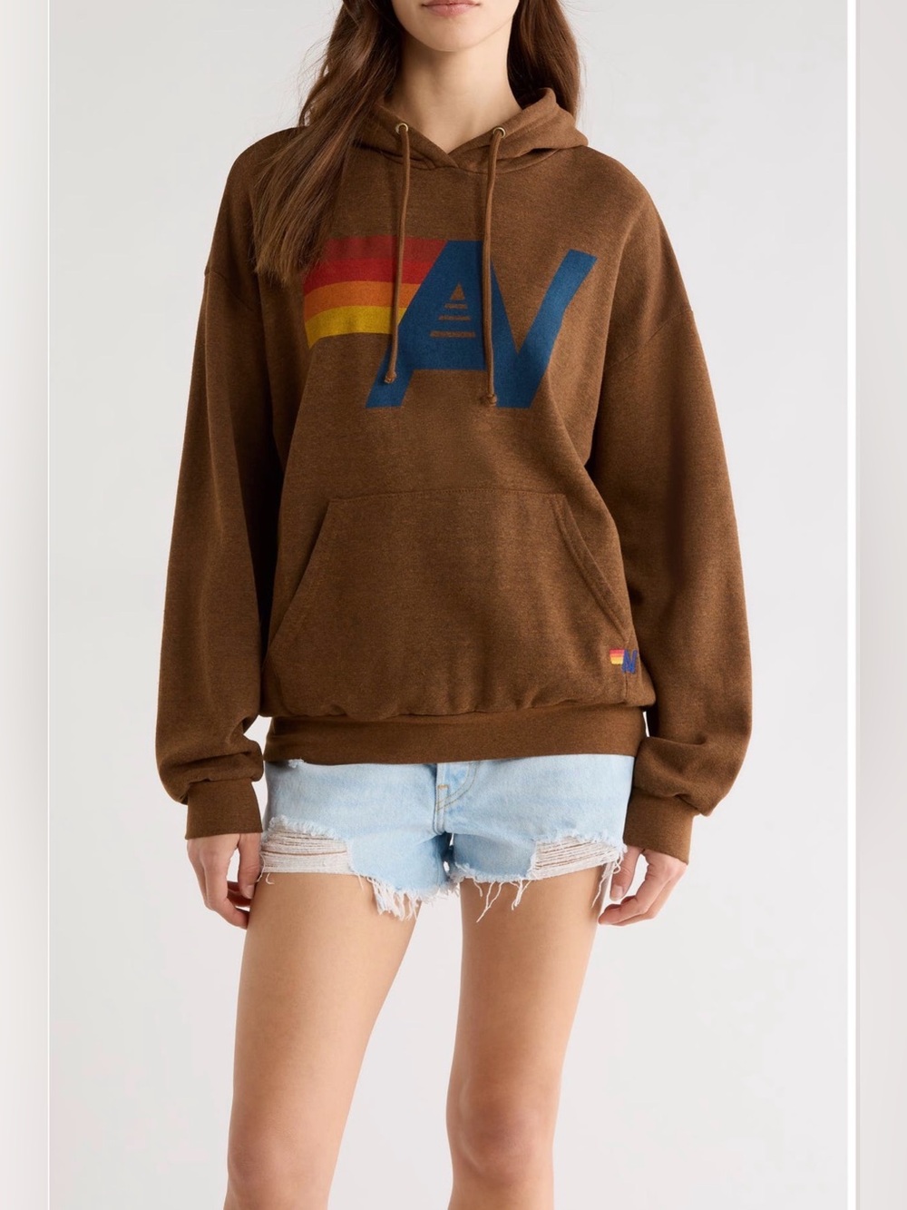 Aviator Nation logo pullover relaxed hoodie